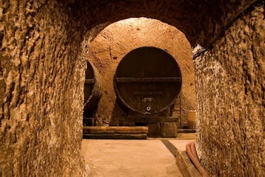 Wine cellar guided tour with tasting in Sant’Agata de’ Goti
